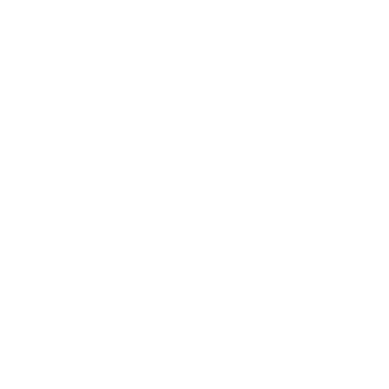 Follicular Lymphoma Foundation White Logo