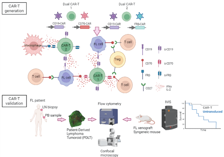 Dual CD19CART Approaches to Counteract Antigen Escape