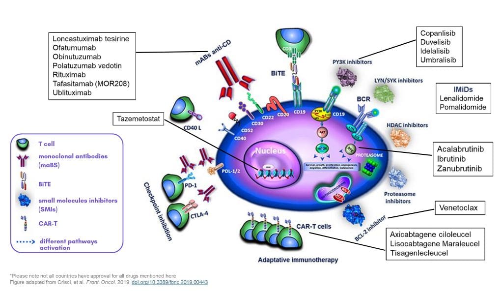 Immuno therapy slide